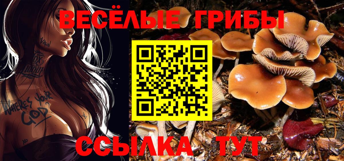 Галлюциногенные грибы GOLDEN TEACHER Саратов