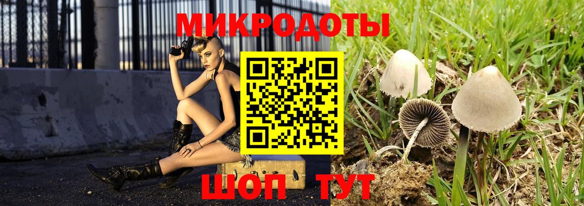 Псилоцибиновые грибы MAGIC MUSHROOMS  Вход с VPN  цены наркотик  Саратов 